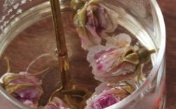 玫瑰花茶用开水泡还是温水泡_玫瑰花茶的功效与作用